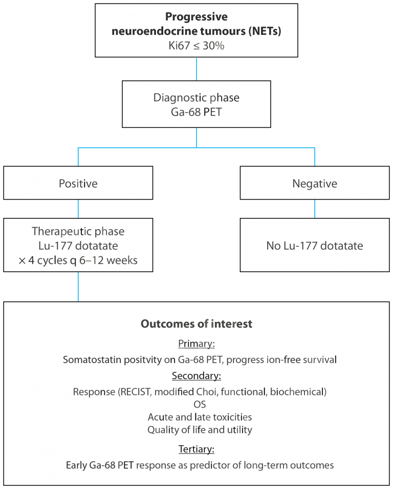 Assessing Dose Administration of Lu-177 Dotatate Therapy: Quantifying ...