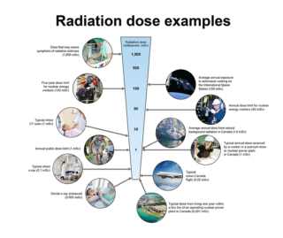 Annual Dose Contributions of Typical Indoor Radon Levels (Part 1 ...
